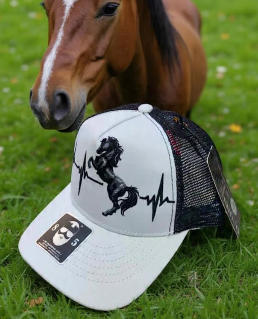 California Caps Verde Burdeos Cruz - Trucker