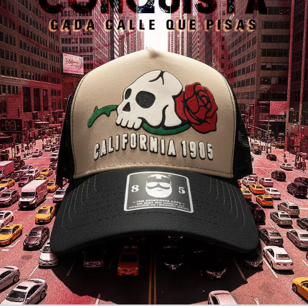 California Caps Bicolor Blanco Navy - Trucker