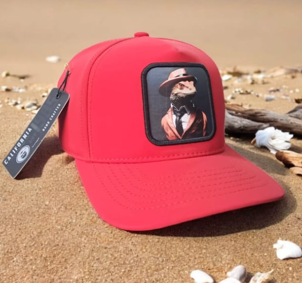 California Caps Negro Beige Par Premium - Trucker